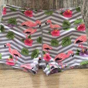 IAB Flamingo Shorts